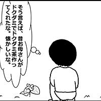 ドクダミとは 動植物の人気 最新記事を集めました はてな ドクダミとは 動植物の人気 最新記事を集めました はてな