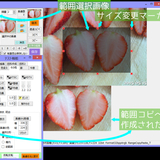 Pixtack紫陽花2.7.96.185_範囲選択画像周りの不具合解消と仕様変更