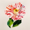 日々絵「椿　沖の浪　 camellia oki-no-nami」 03.01.21