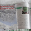 社団法人　日本アロマ環境協会　会報『Aromatherapy Environment』