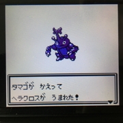 色違いポケモン紹介 Vc産ヘラクロス 自由に生きてあそblog 色違いポケモン紹介 Vc産ヘラクロス 自由に生きてあそblog