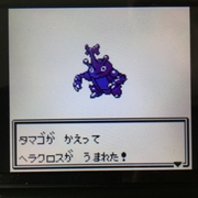 色違いポケモン紹介 Vc産ヘラクロス 自由に生きてあそblog