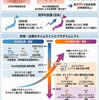 重症筋無力症 ― 日本の保険適応で読み解く20年の進歩