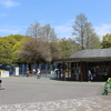 長居公園は手軽な外出場所として最適！その理由とは？