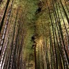 京都・嵐山花灯路