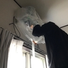 出産前にやっておけばよかった！初めてのエアコンクリーニング