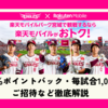 【2025シーズン】楽天モバイルパーク宮城で観戦するなら楽天モバイルが圧倒的にお得！
