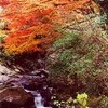 橋のうた（1/6）