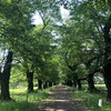 無線山・KDDIの森（埼玉県伊奈町）　～伊奈町の伝説をめぐる旅 6/7～