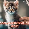 ブリュー猫と捨て猫のコラボ