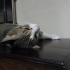 べたり