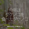 942食目「今年はタケノコを食べたダケノコ」実家からタケノコが届きました