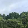 今朝の景色
