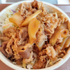 牛丼ライト