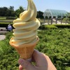 みはらし広場 国営ひたち海浜公園｜キウイソフト