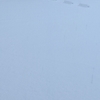 雪・猫ミーグリ・雪