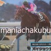 サラブレッドカード95 051 第29回日刊スポーツ賞シンザン記念 メイショウテゾロ