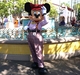 DCL西カリブクルーズ+WDW+DLR70th （15.70周年のカリフォルニアアドベンチャー）