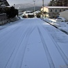 白い轍と松峰市営団地