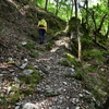 小満の加持ヶ峰遊山　山雀