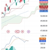 日経225   2月6日までの値動き チャート解説  衆院選を前に下げ&上げ  