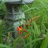 猫ぽっとん