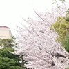 入学式なのですが何故か神奈川に居る