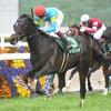競馬初心者必見☆馬券予想🔥〜毎日杯〜川田騎手の連対率は50%！？