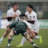 ☆RUGBY and more…#5 HONDA HEAT 涙の2連勝。