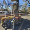 自走🚴‍♂️💨～八国山