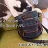個展までカウントダウン