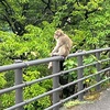 夏休み5日目から6日目