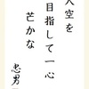 大空を目指して一心芒かな