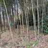 里山時間～竹の整備体験と竹ぼうきづくり～開催しました