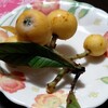 びわ