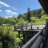【西国三十三所】第八番札所・長谷寺｜平安貴族に愛され、徳川幕府に庇護されたお寺（奈良県桜井市）