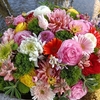 香川の７カ寺巡礼で花手水の「花めぐり」（パート７）令和５年の秋１１月