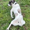 2025年5月12日🐾 今日のマヤ暦