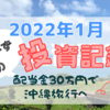 【2022年1月】配当金30万円で沖縄旅行を目指す「うぃーずの投資記録」｜QYLD／HDV