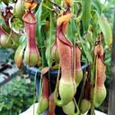 黒♭のBLOG