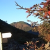 展望台・アサヨ峰からの山々