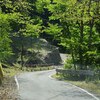 もはや群馬随一の秘境と言っていい「黒滝山不動寺」にいってきたっぺ(*^▽^*)