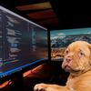 Word VBAでオブジェクトブラウザーを利用