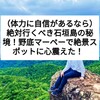 絶対行くべき石垣島の秘境！野底マーペーで絶景スポットに心震えた！

