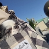 本年もよろしくお願い申し上げます