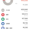 新卒9か月目の家計簿を振り返る