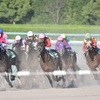 【競走馬名】面白い名前・変わった名前（第3弾）｜馬主・森中審さん所有馬編！