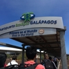 自然の楽園！ガラパゴスに入りました〜！