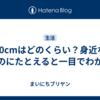 50cmはどのくらい？身近なものにたとえると一目でわかる