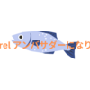 Mackerel アンバサダーになりました